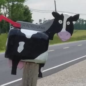 Meet your Posher, Connie